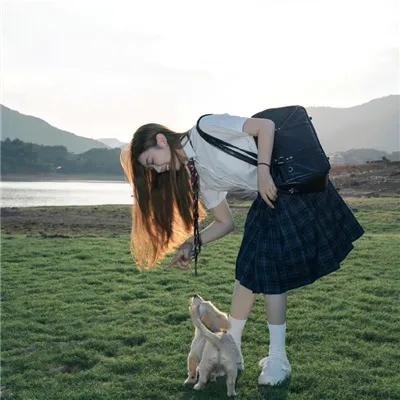 罗莎夫人